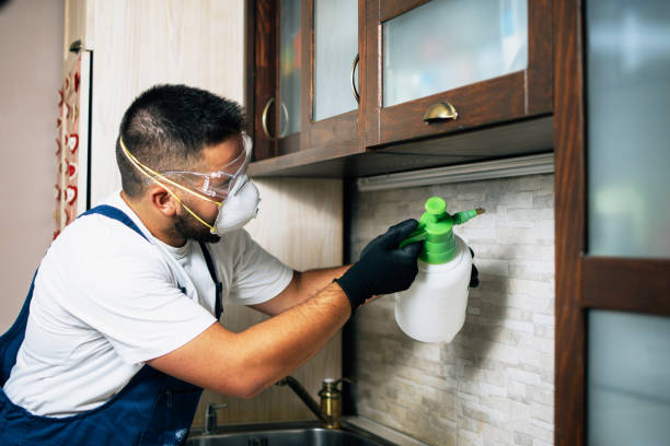 Best Residential Pest Control  in Columbus, MS