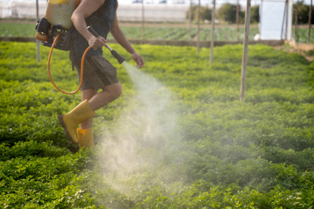 Best Affordable Pest Control Services  in Columbus, MS