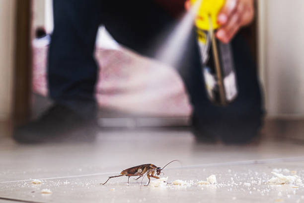 Reliable Columbus, MS Pest Control Solutions